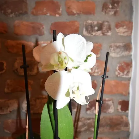 Sweet In Bei Messe Duesseldorf