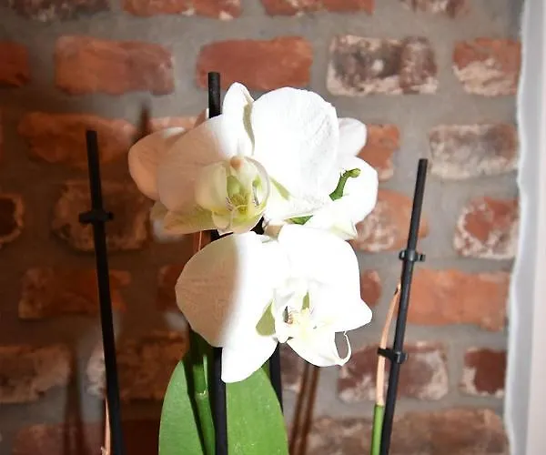 Sweet In Bei Messe Duesseldorf